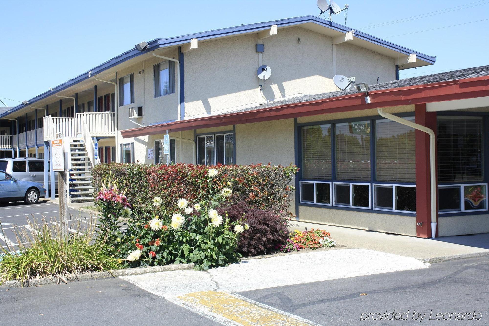 אלבני Rodeway Inn מראה חיצוני תמונה